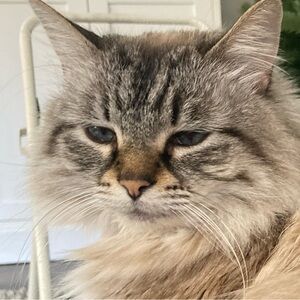 Meet your Posher, Jess